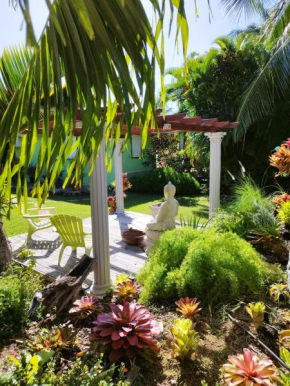 Gites d'Arles Bungalow T1 BIS